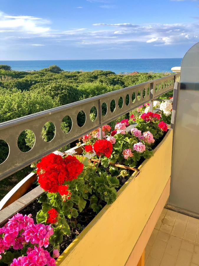 Hotel Caravel B&B Misano Adriatico Eksteriør bilde